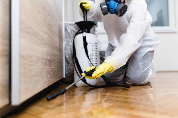 Best Bed Bug Extermination  in Terrytown, LA