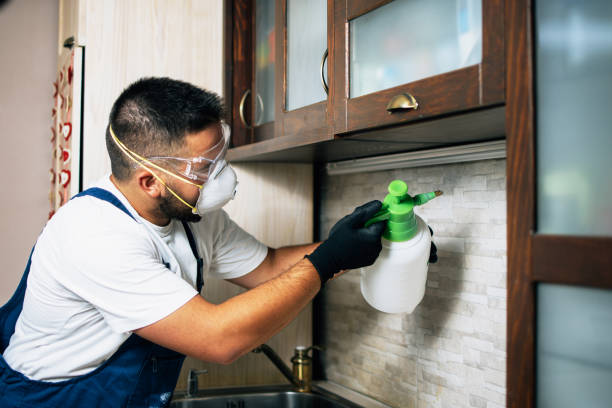 Best Insect Control  in Terrytown, LA