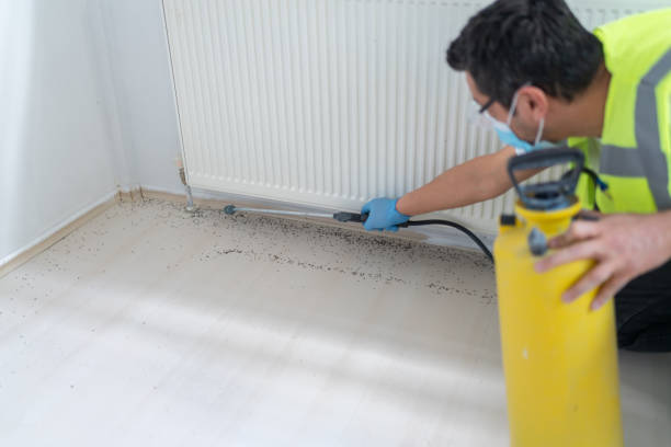 Pest Control for Restaurants in Terrytown, LA