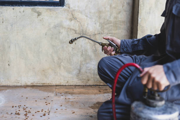Best Pest Control for Businesses  in Terrytown, LA